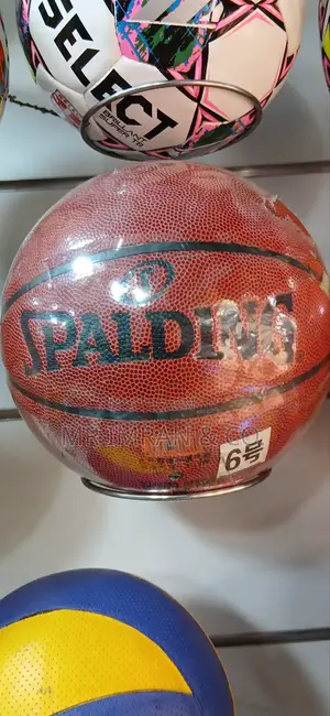 Spalding Basketball