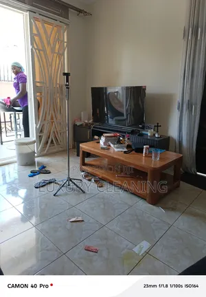 After Fumigation Cleaning Organizing Houses