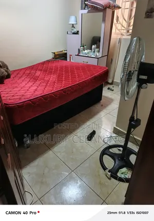 After Fumigation Cleaning Organizing Houses