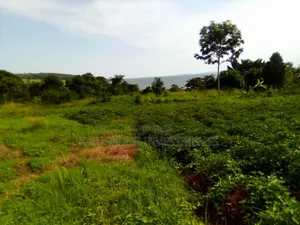 10 Acres at Katosi Mukono