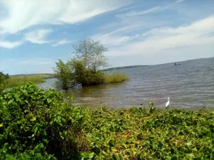 10 Acres at Katosi Mukono