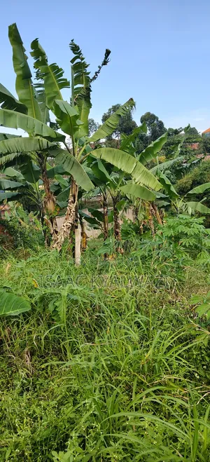 Land Sale Kulambiro Photogenix