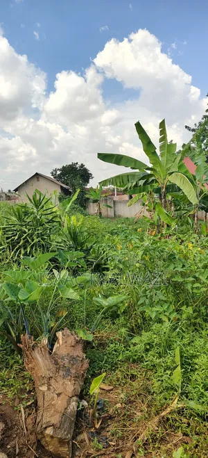 Land Sale Kulambiro Photogenix