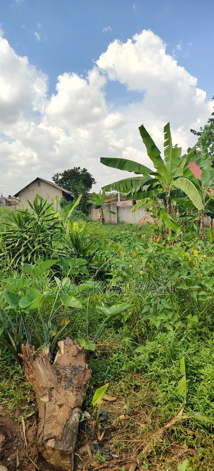 Land Sale Kulambiro Photogenix