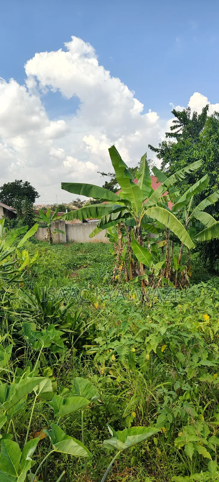 Land Sale Kulambiro Photogenix