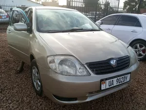 Toyota Allex 2006 Gold