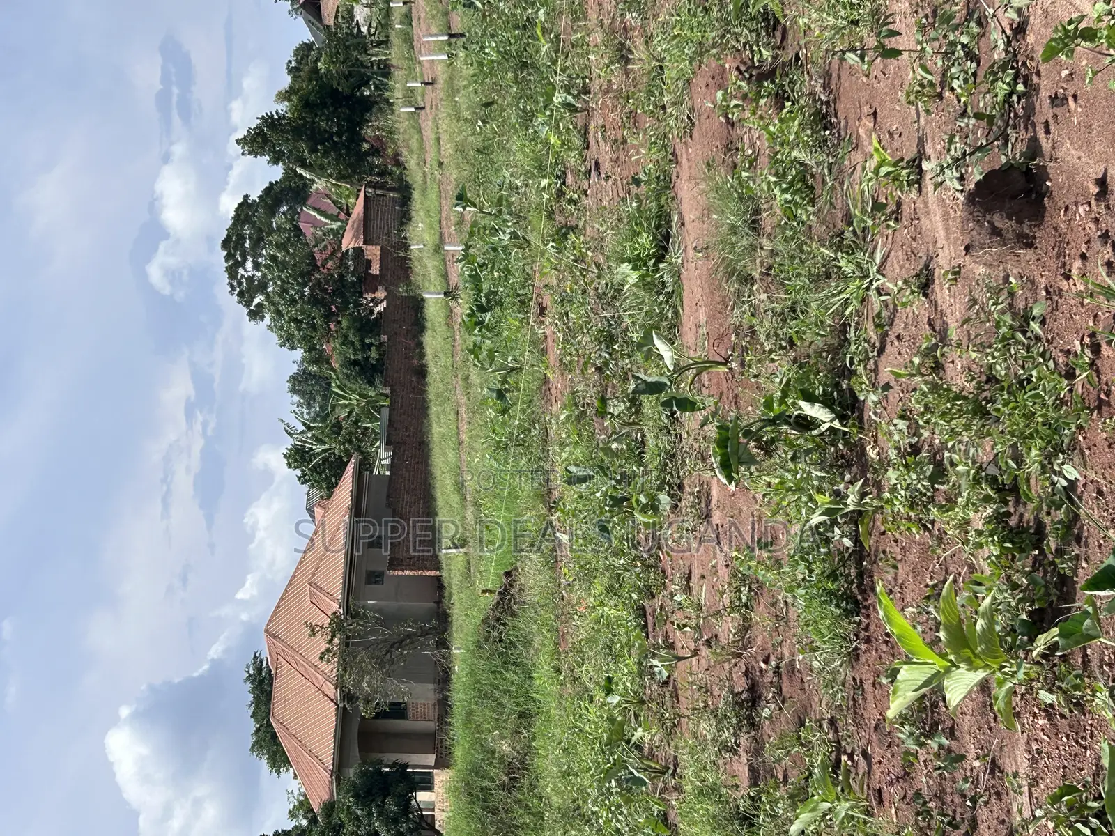 40by40 Ft Plot for Sale in Gayaza Kiwenda