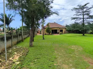 3bdrm Bungalow in Buwate, Nakawa for rent