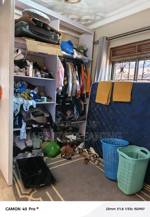 Closet Cleaning Organizing
