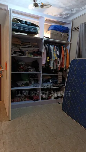 Closet Cleaning Organizing