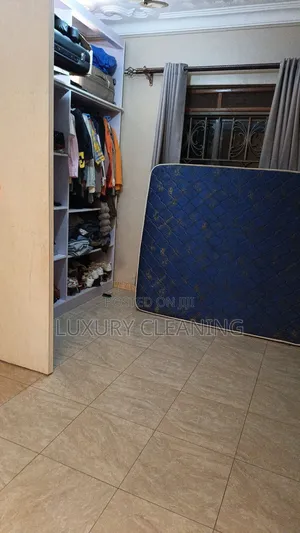 Closet Cleaning Organizing