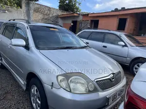 Toyota Corolla Fielder 2006 Silver