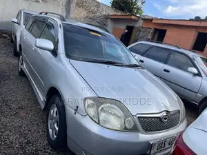 Toyota Corolla Fielder 2006 Silver