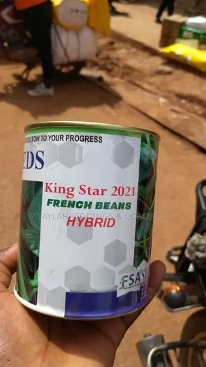 French Beans Vegetable Seeds Hybrid F1 250g
