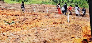 50x100 Plots for Sale at Kakiri Gobero Along Hoima Road