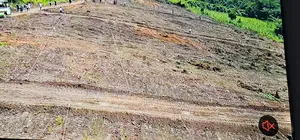 50x100 Plots for Sale at Kakiri Gobero Along Hoima Road