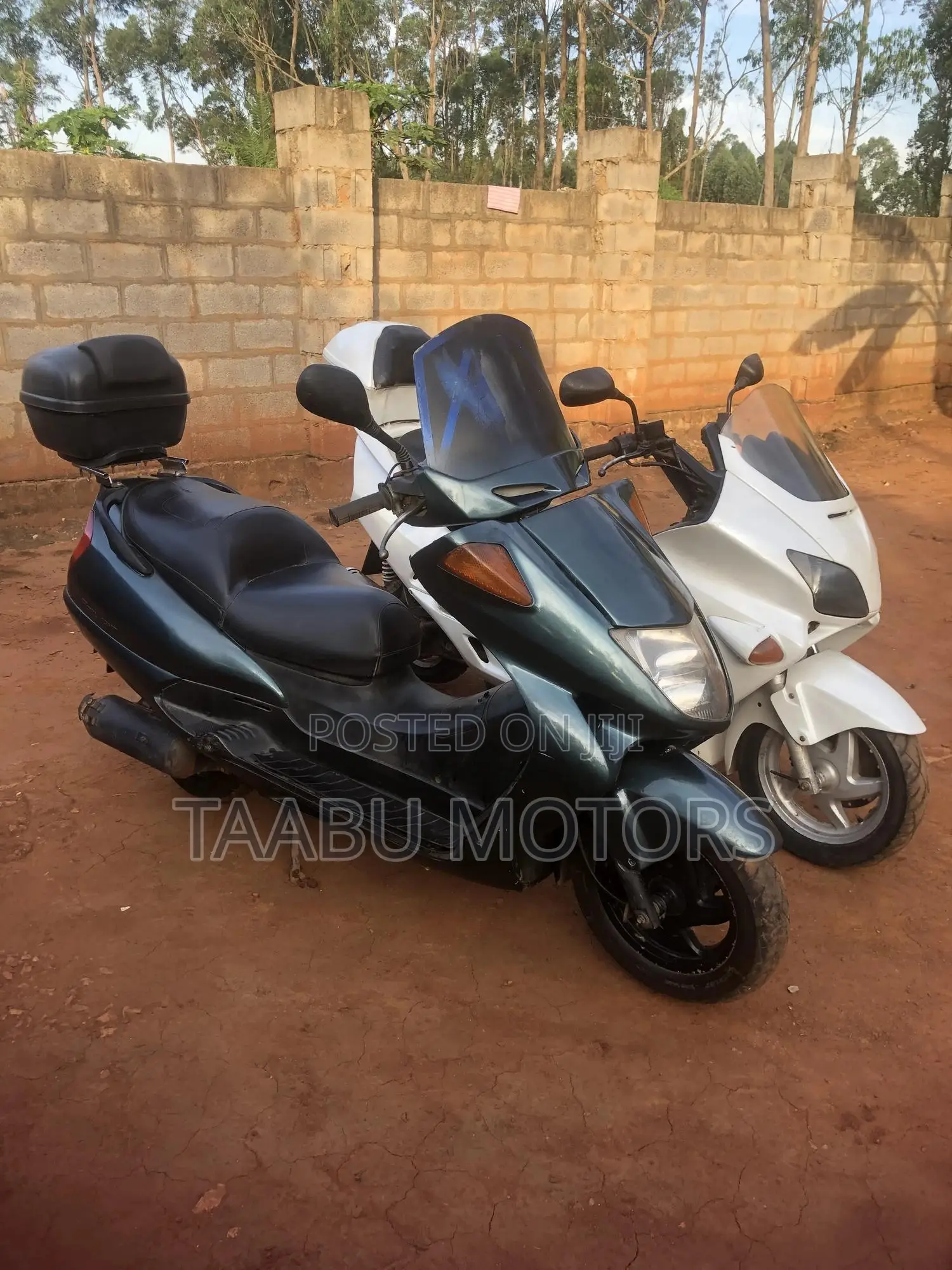 Honda 2001 Green