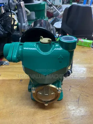 Hot and Cold Water Pump