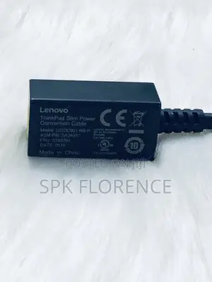 Lenovo Slim Power Conversion Cable