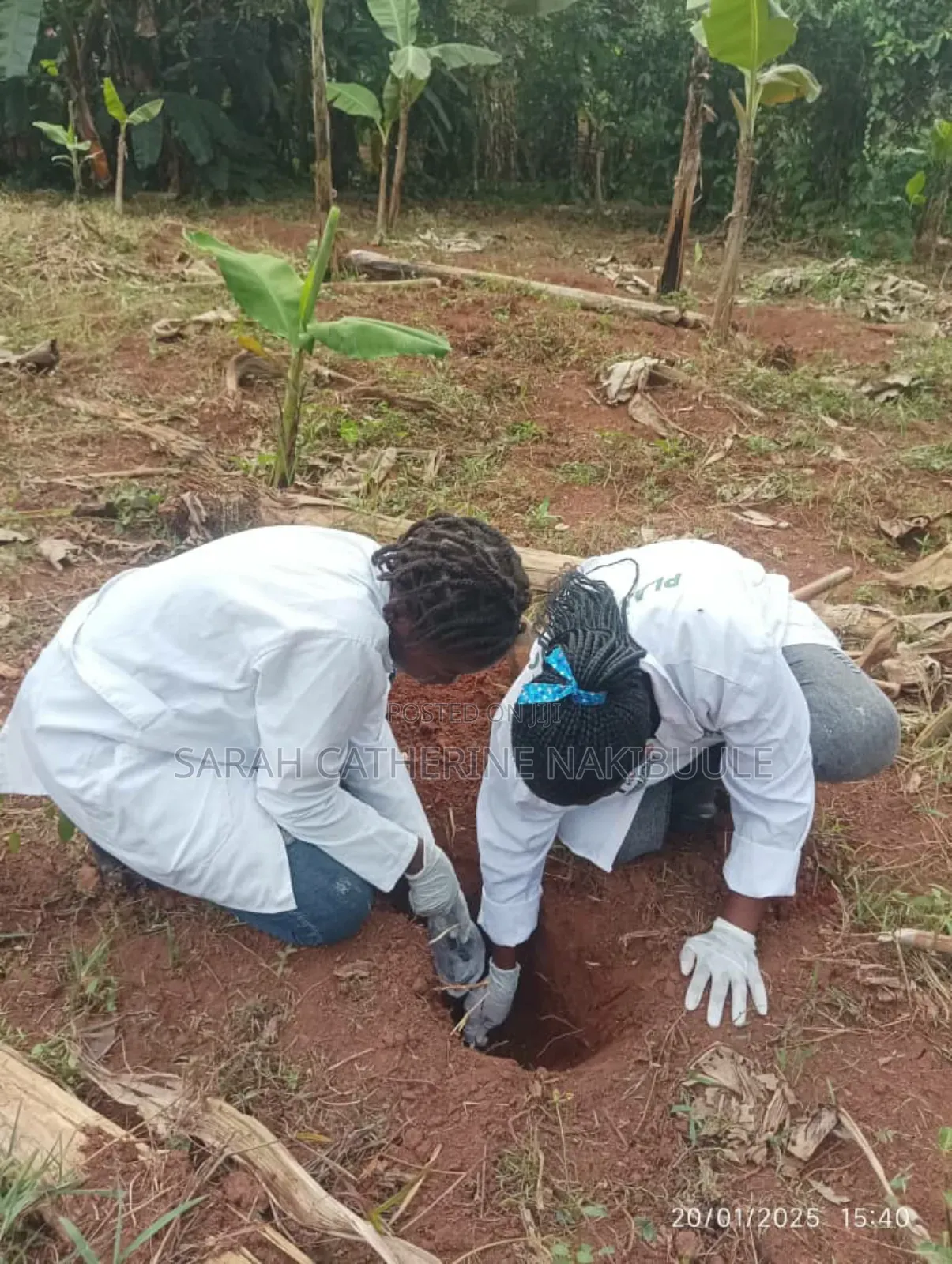 Soil Testing Services