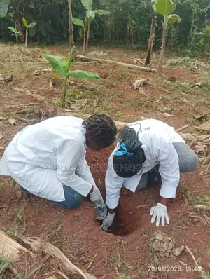 Soil Testing Services