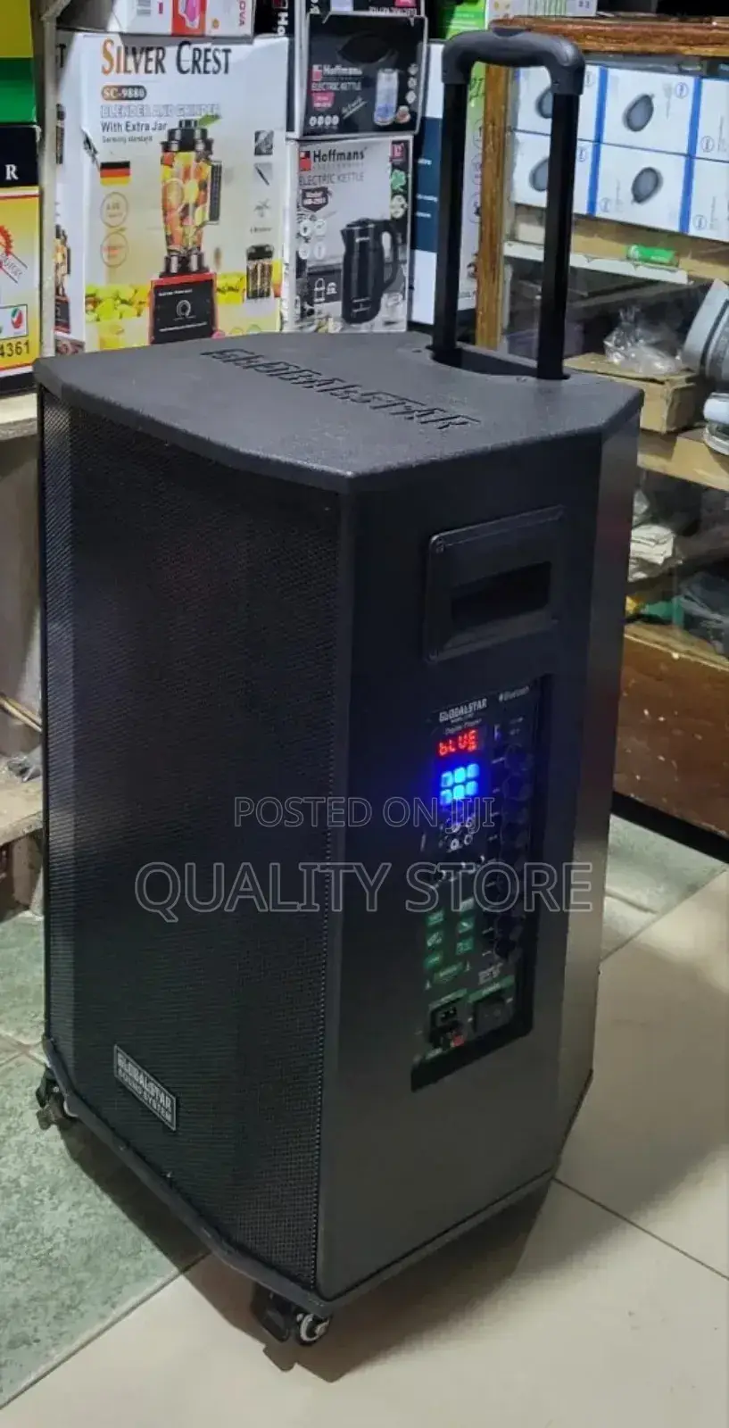 Global Star Multimedia Speaker System 15 Inch Gs-L1503