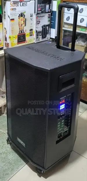 Global Star Multimedia Speaker System 15 Inch Gs-L1503