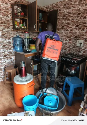 Cockroaches Fumigation in Kisasi