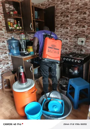 Cockroaches Fumigation in Kisasi