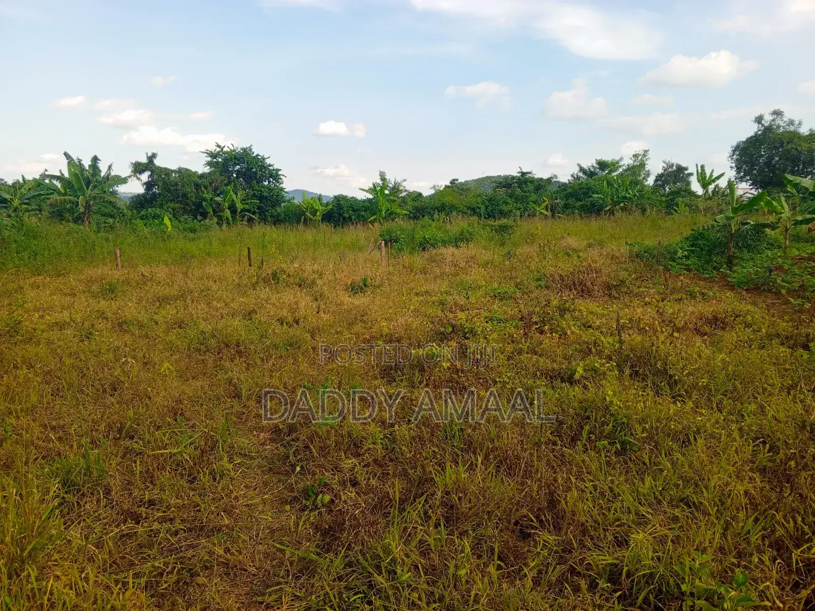 Titled Plot Katiti Nampunge