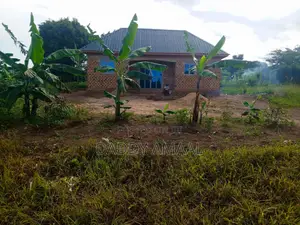 Titled Plot Katiti Nampunge