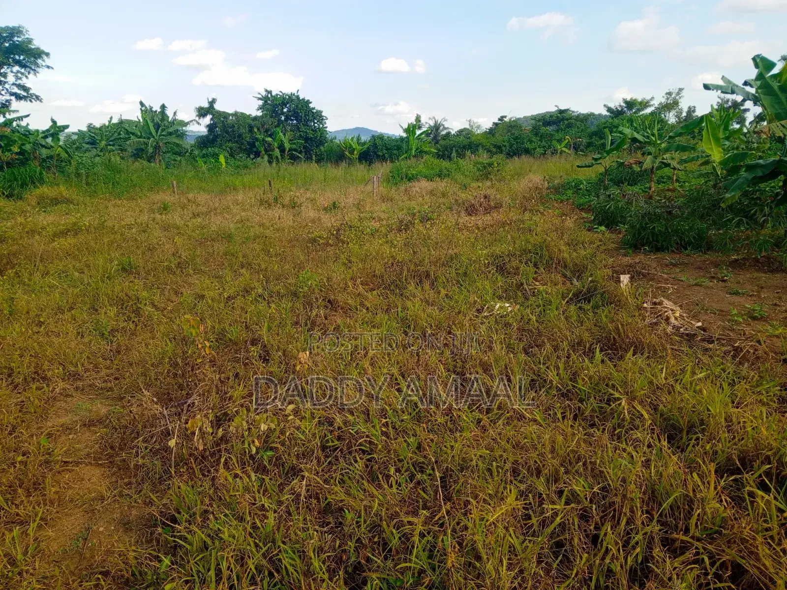 Titled Plot Katiti Nampunge