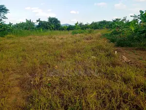 Titled Plot Katiti Nampunge