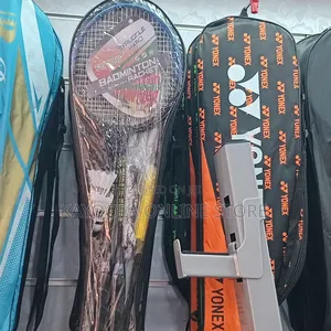 Professional Badminton Set 2pcs Beginner Exercisers