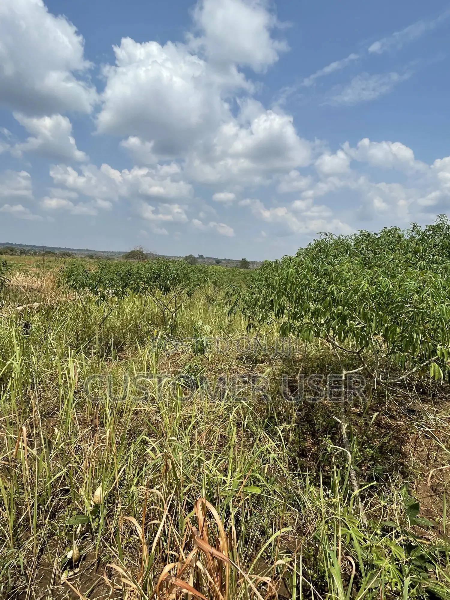 Land for Sale in Gulu