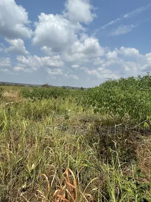 Land for Sale in Gulu