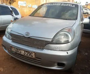 Toyota Fun Cargo 2003 Gray