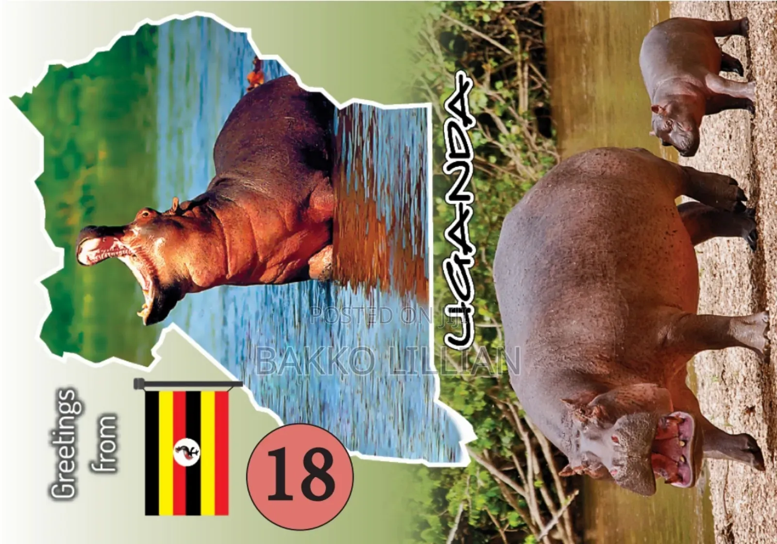 Post Cards Uganda