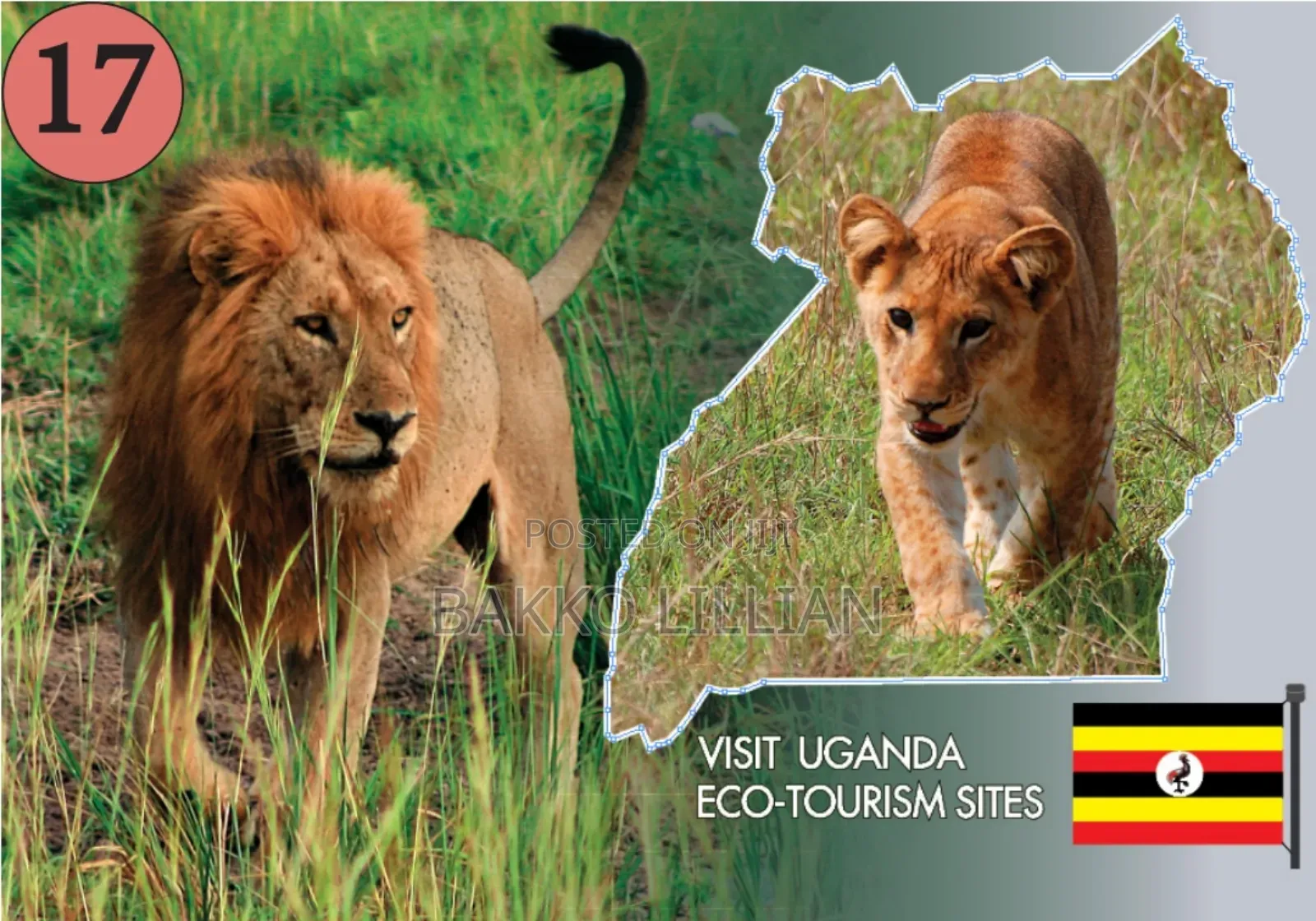 Post Cards Uganda