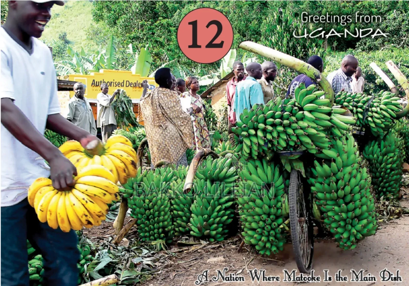 Post Cards Uganda