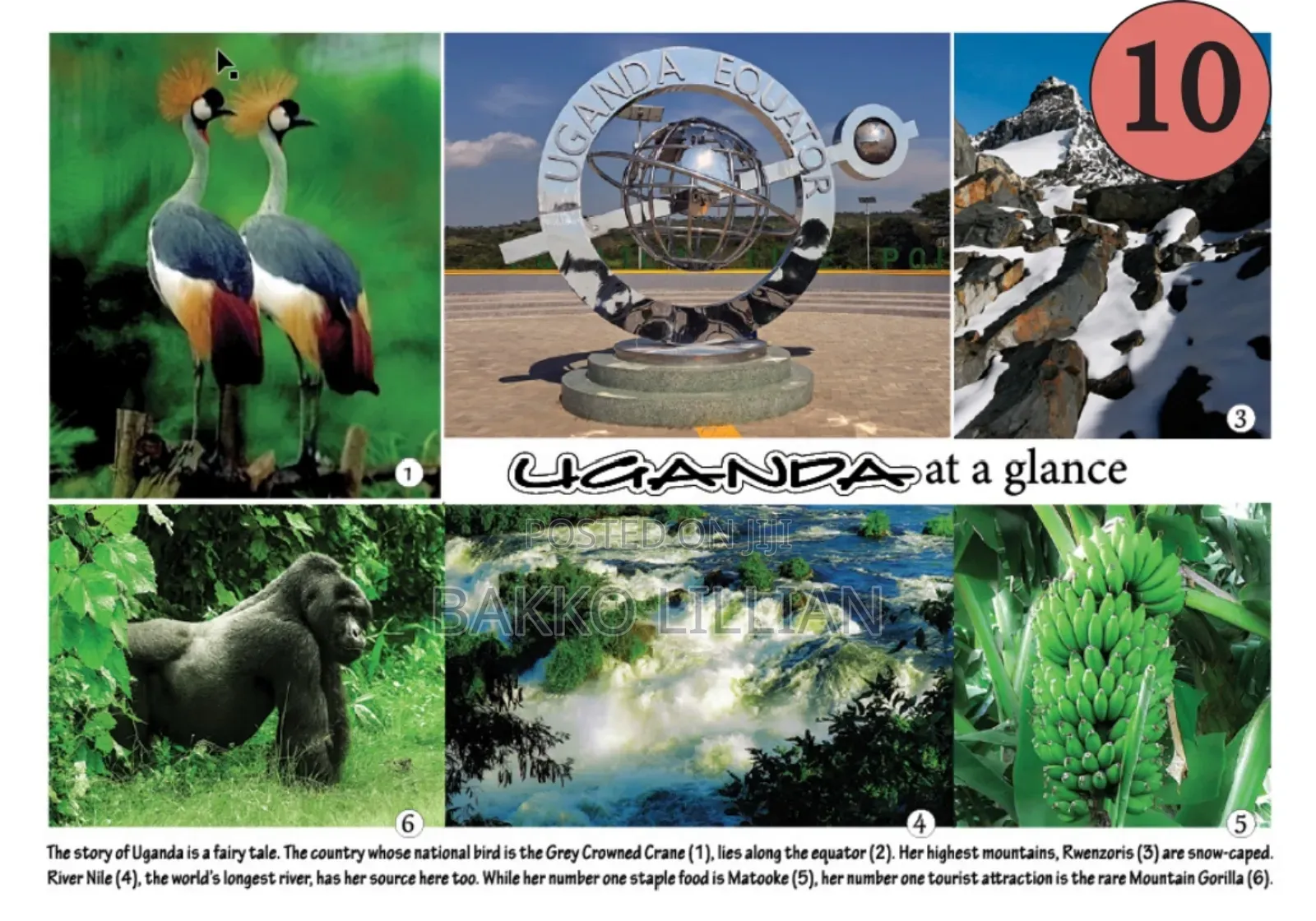 Post Cards Uganda