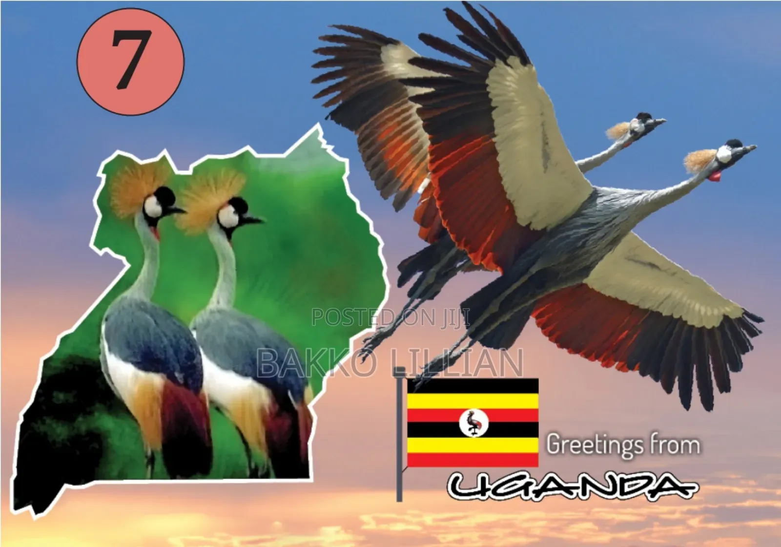 Post Cards Uganda