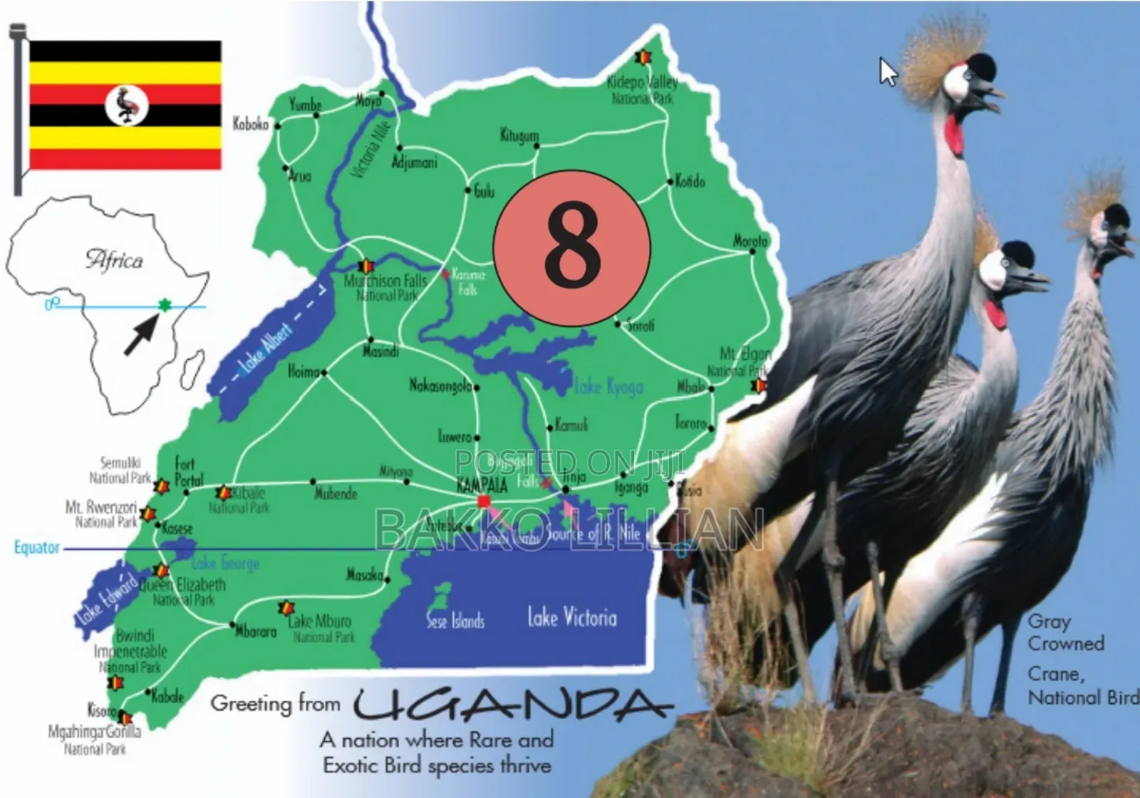 Post Cards Uganda