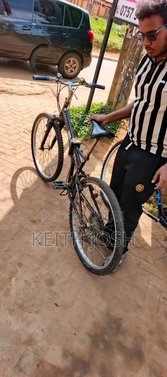 Foldable Bicycle