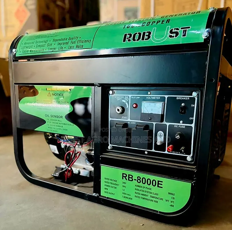 Petrol Generator 8000wtts