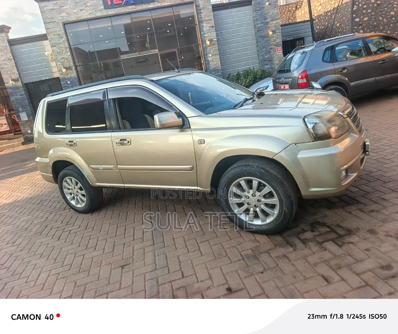 Nissan X-Trail 2.0 Comfort 2003 Gold
