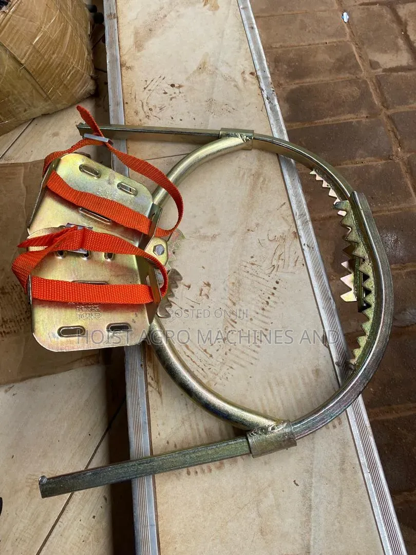 Pole Climbing Shoes