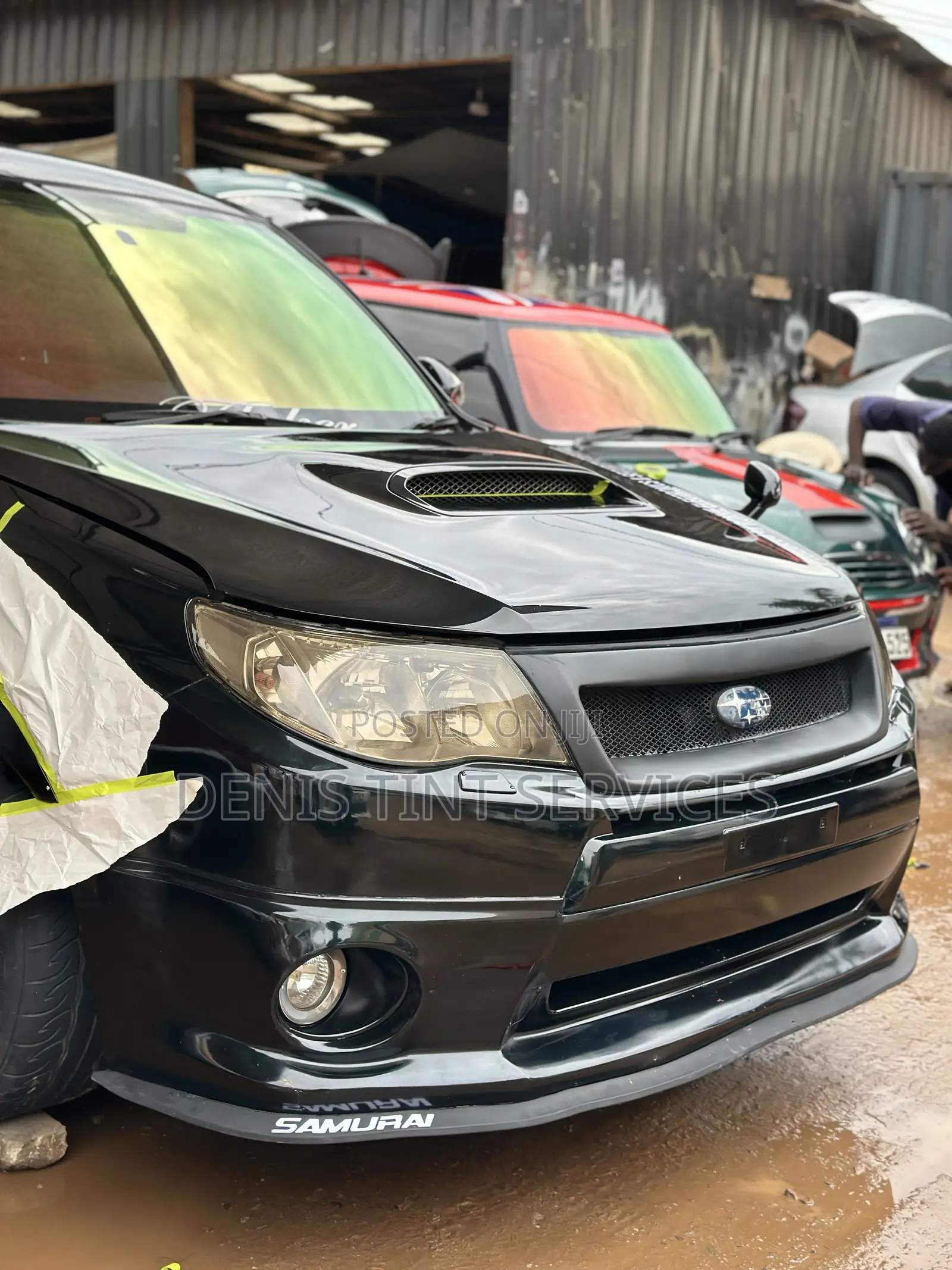 Chameleon Tint