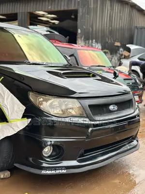 Chameleon Tint
