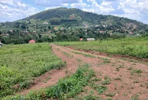 Prime Plots for Sale at Wakiso~Kaliiti Modern Hill View Estat~Hoima Rd